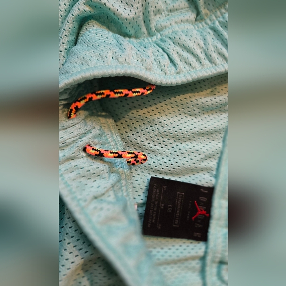 Air Jordan Dry-fit Teal Mesh Shorts with 90's Retro Logo - Picture 3 of 5